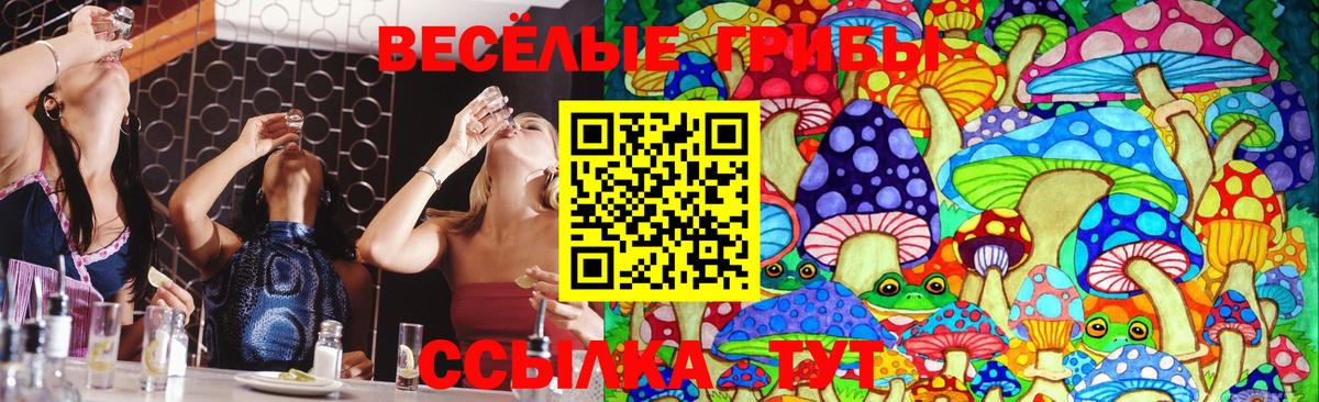 наркотики  Губаха  Псилоцибиновые грибы мухоморы  Галлюциногенные грибы Magic Shrooms 