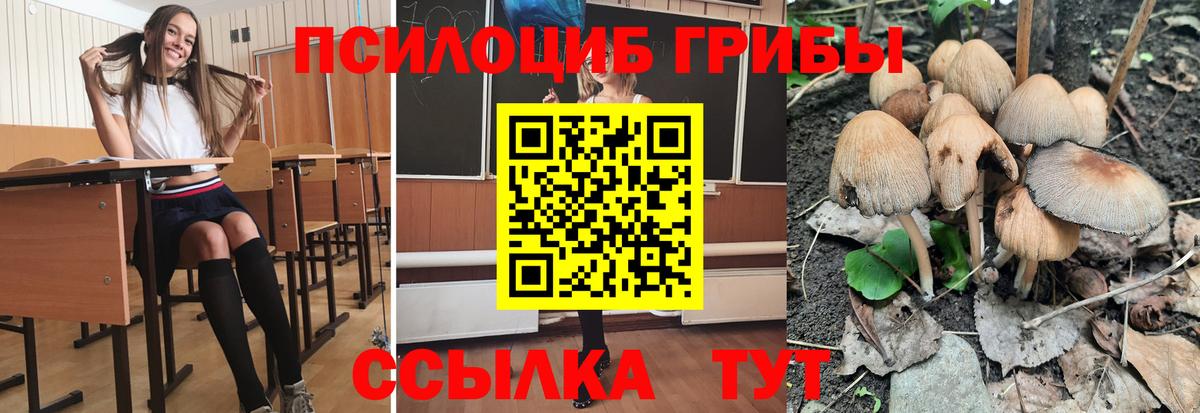 Галлюциногенные грибы GOLDEN TEACHER Губаха