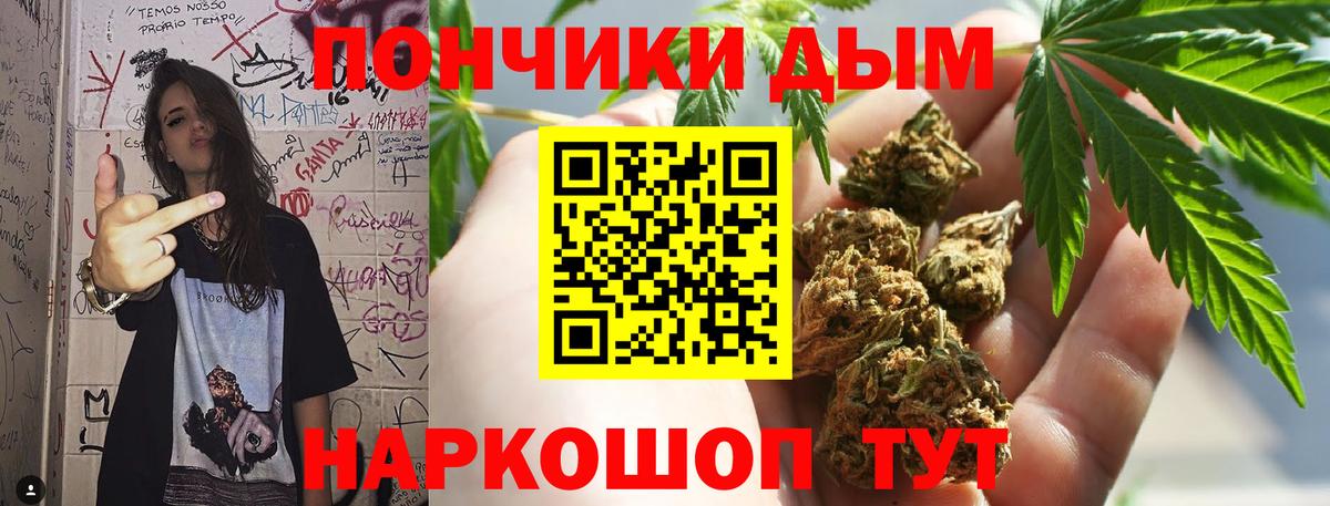 Бошки Шишки SATIVA & INDICA  Конопля семена  Губаха  Вход с VPN 
